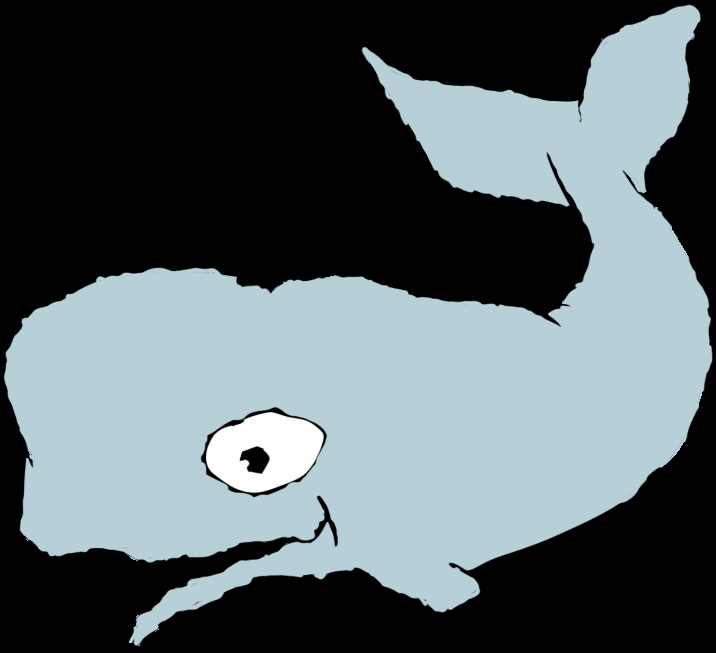 Whale